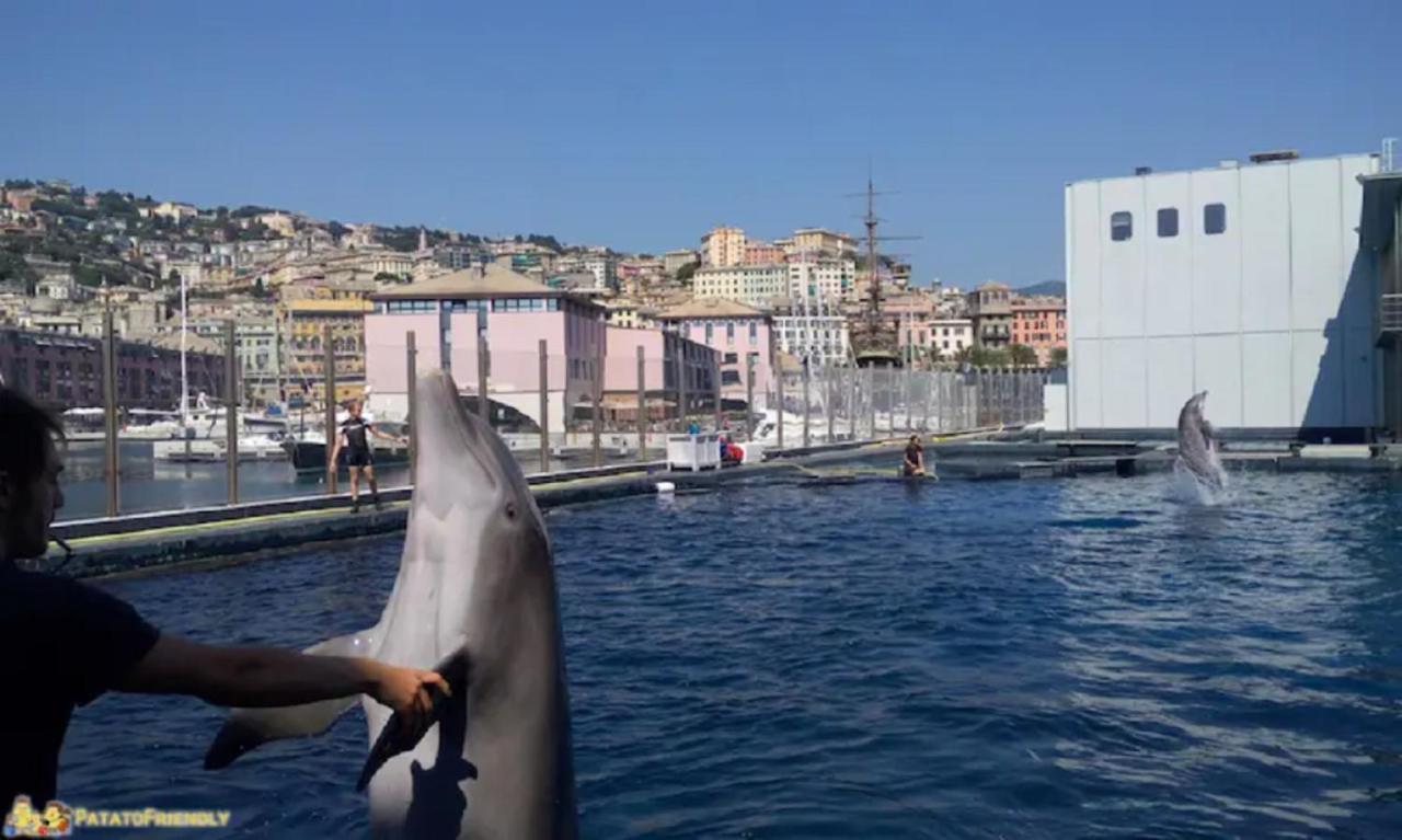 Apt Aquarium Apartment Genoa Luaran gambar